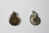 1Paar Ammoniten-Anhänger gefasst m. Öse klein