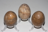 Gemstone egg picture jasper frosted approx.38x50mm