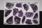 Medium-Flat Amethyst-Stufen Uruguay A