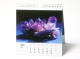 Mineralien-Postkartenkalender 2026