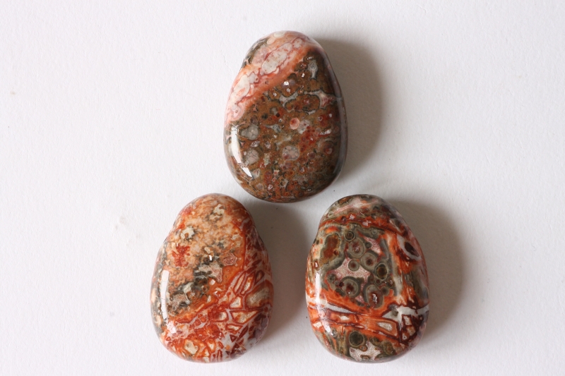 Set of 5 drilled leopard jasper tumbled stone