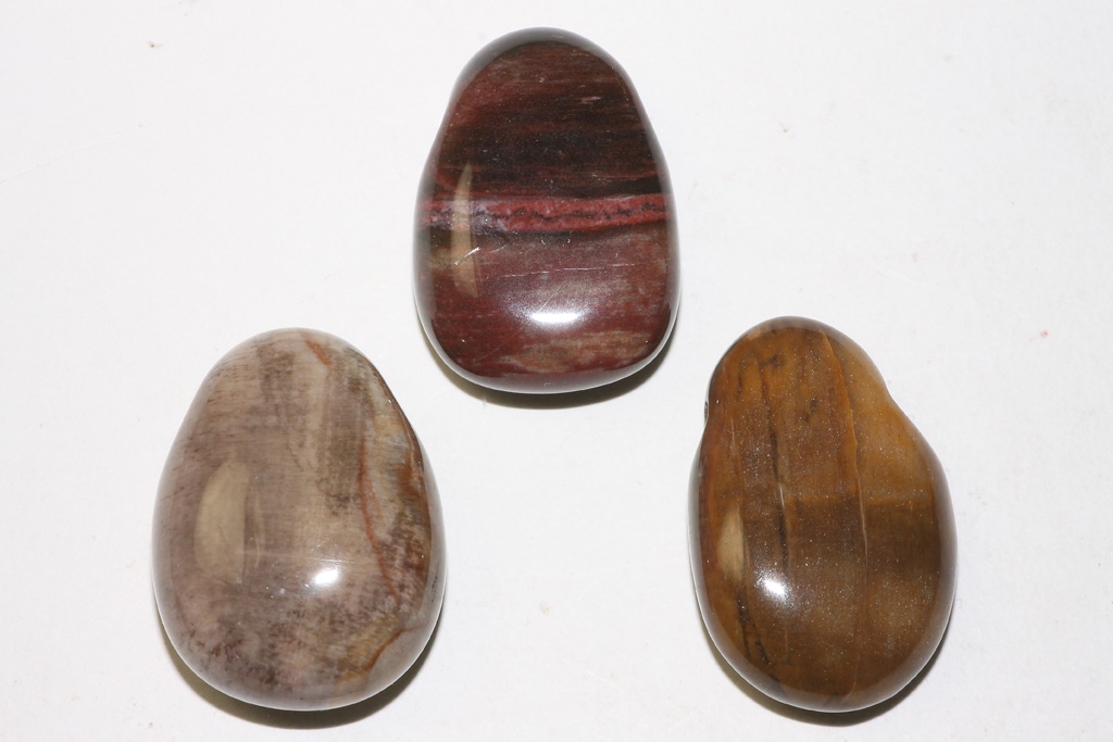 Set of 5 Petrified Wood Tumbled Stone Drilled