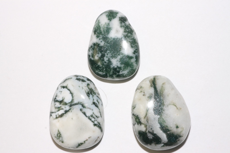 Set of 5 drilled tree agate tumbled stone