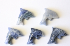 Set of 5 dolphin drilled sodalite