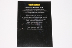 10erSet Sternzeichenkarte m. Fluorit-Anhänger / Wassermann