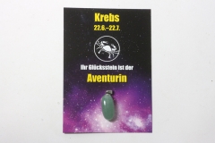 Set of 10 zodiac card with pendant Aventurine