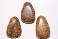 Set of 5 snakeskin jasper brown drilled tumbled stone