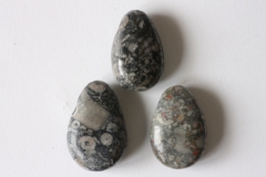 Set of 5 fossil coral dark drilled tumbled stone
