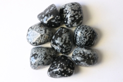 0,5kg Schneeflockenobsidian Trommelsteine, USA